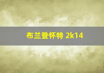 布兰登怀特 2k14